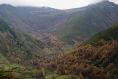 Hábitat